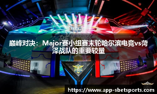sbet实博